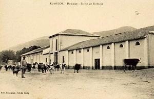 CO j- 15- Madrague- El ancor- Andalouses